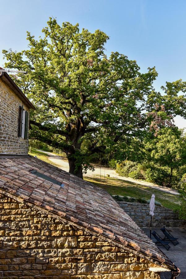 L'Abbraccio Della Quercia Momjan Exterior foto