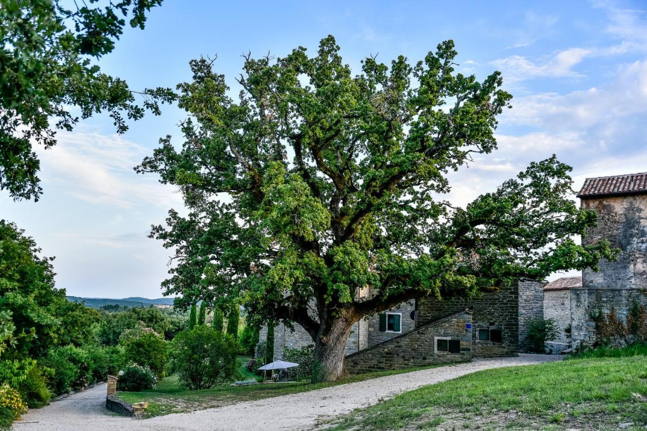L'Abbraccio Della Quercia Momjan Exterior foto