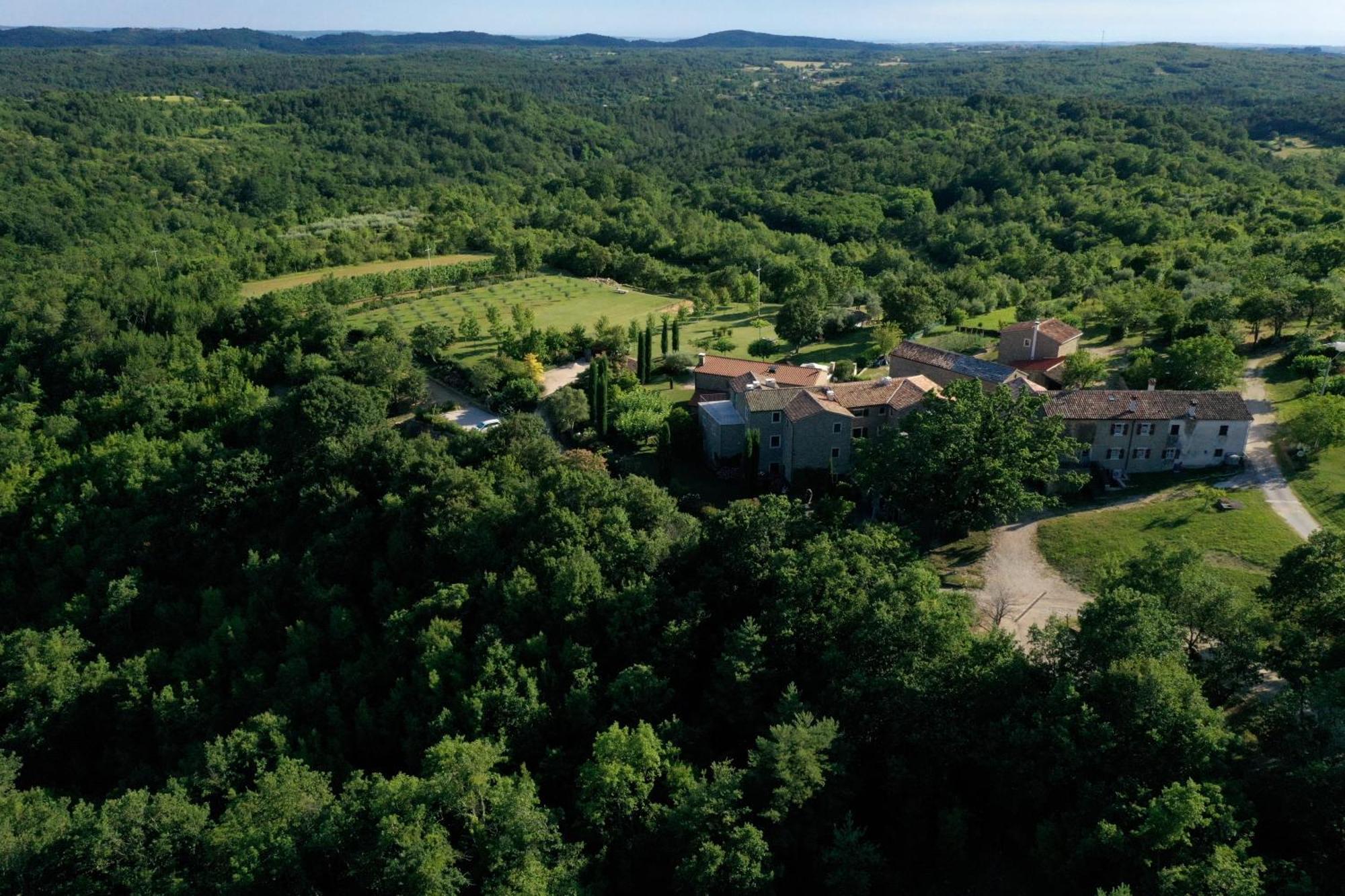 L'Abbraccio Della Quercia Momjan Exterior foto